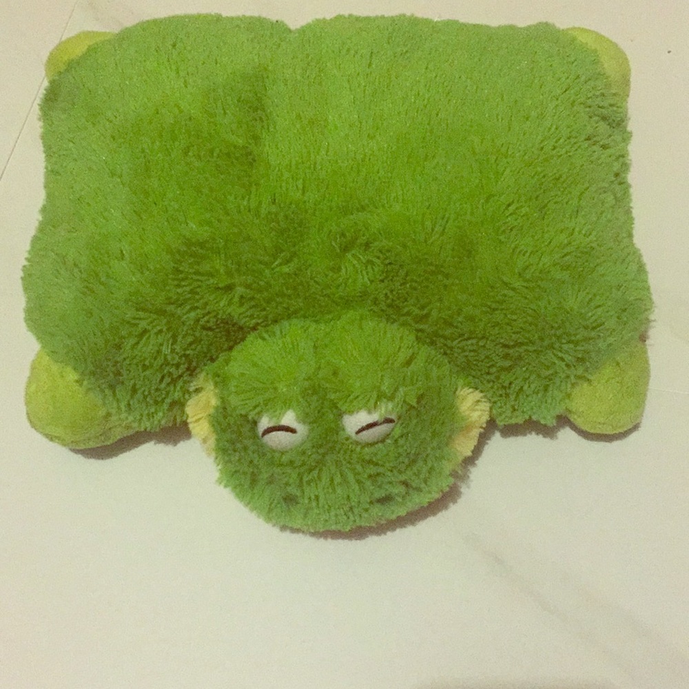 Green frog pillow pet